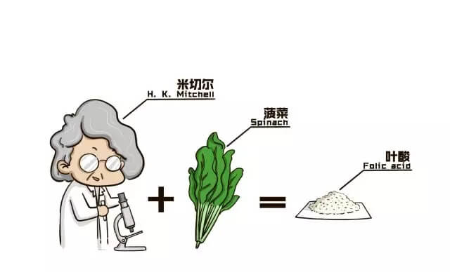 吃葉酸會影響月經么? 吃葉酸會影響月經么?